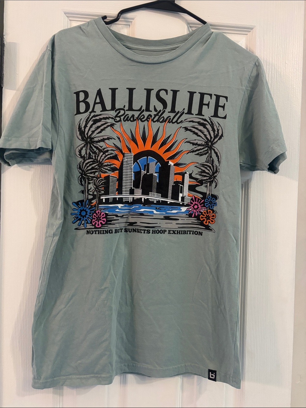 Ball Is Life Men’s Short Sleeve Graphic Tee - Seafoam